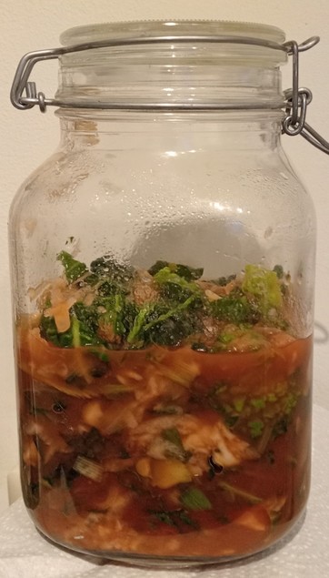 kimchi from green cabbage